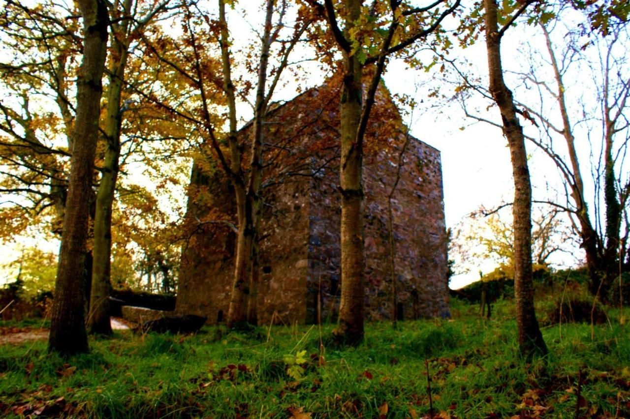 Отели типа «постель и завтрак» The Central, Buncrana Банкрана-22